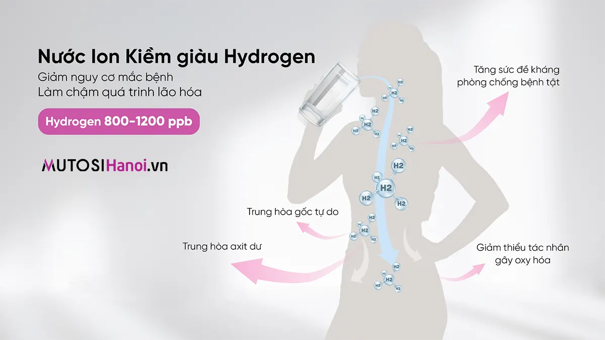 Máy lọc nước Ion Kiềm Hydrogen Mutosi MP-S109H