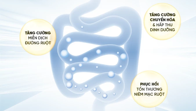Máy lọc nước Mutosi Hydrogen Pro Plus Probiotics Ion Kiềm MP-F081-HC4H5P
